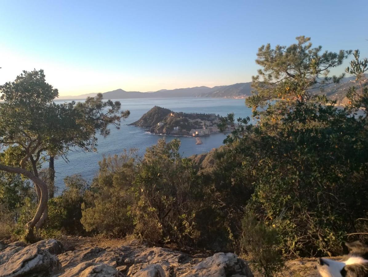Casa Caterina Setri Levante Sestri Levante Bagian luar foto